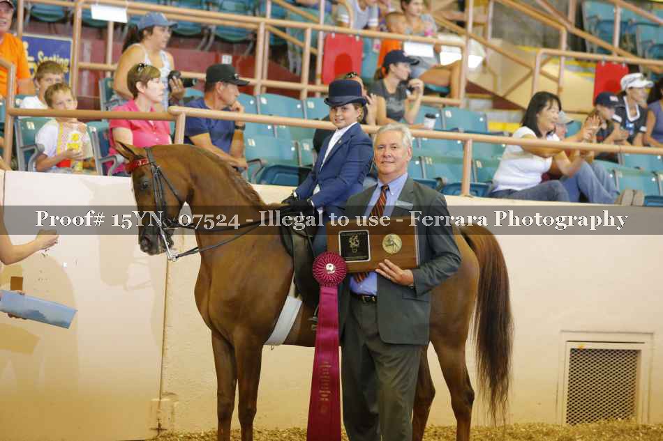 Proof 15YN_07524