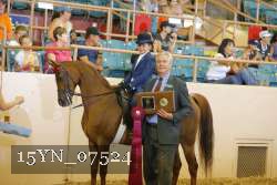 15YN_07524 proof