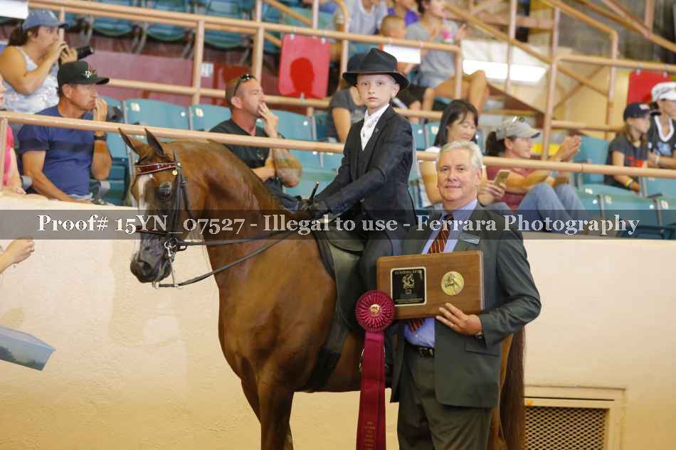 Proof 15YN_07527
