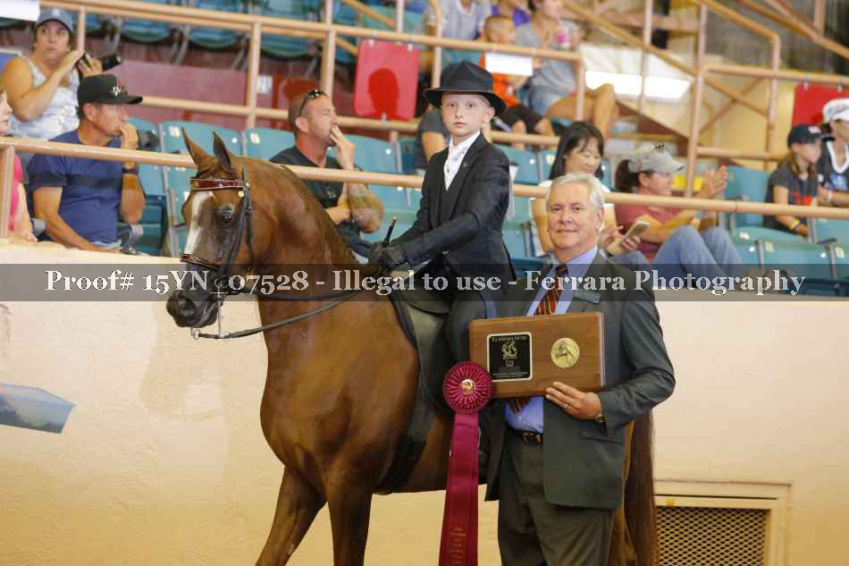 Proof 15YN_07528