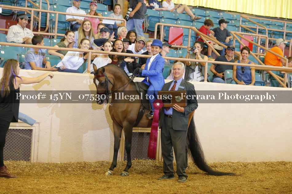 Proof 15YN_07530
