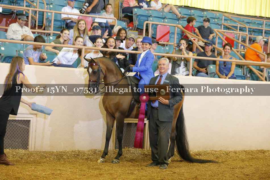 Proof 15YN_07531