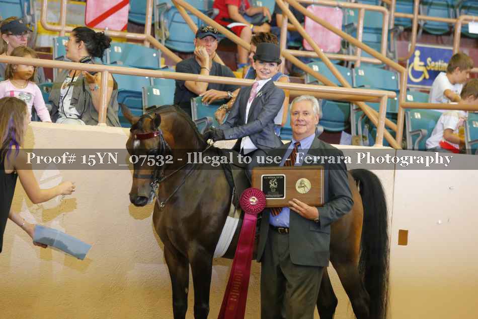 Proof 15YN_07532