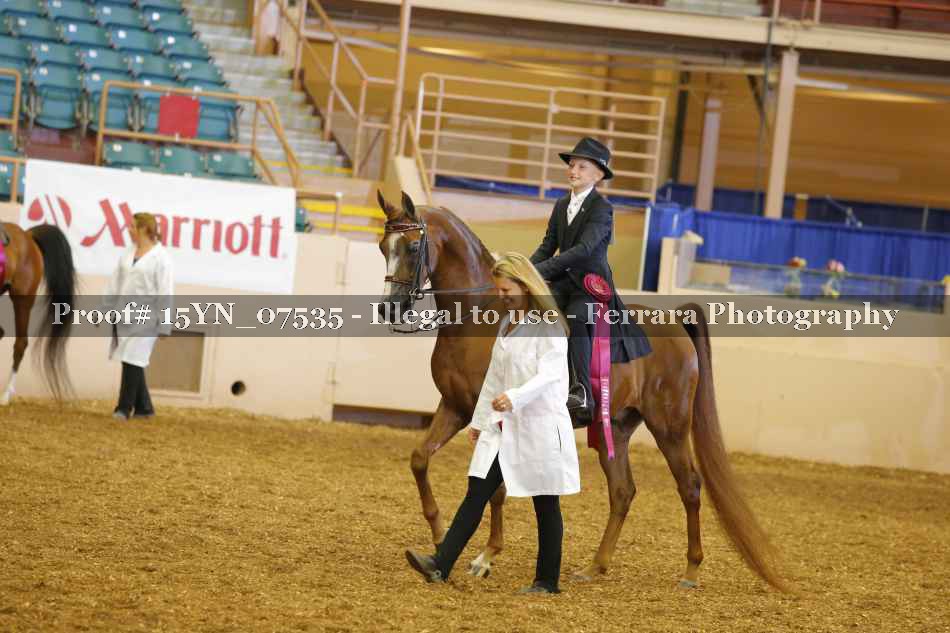 Proof 15YN_07535