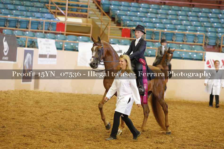 Proof 15YN_07536