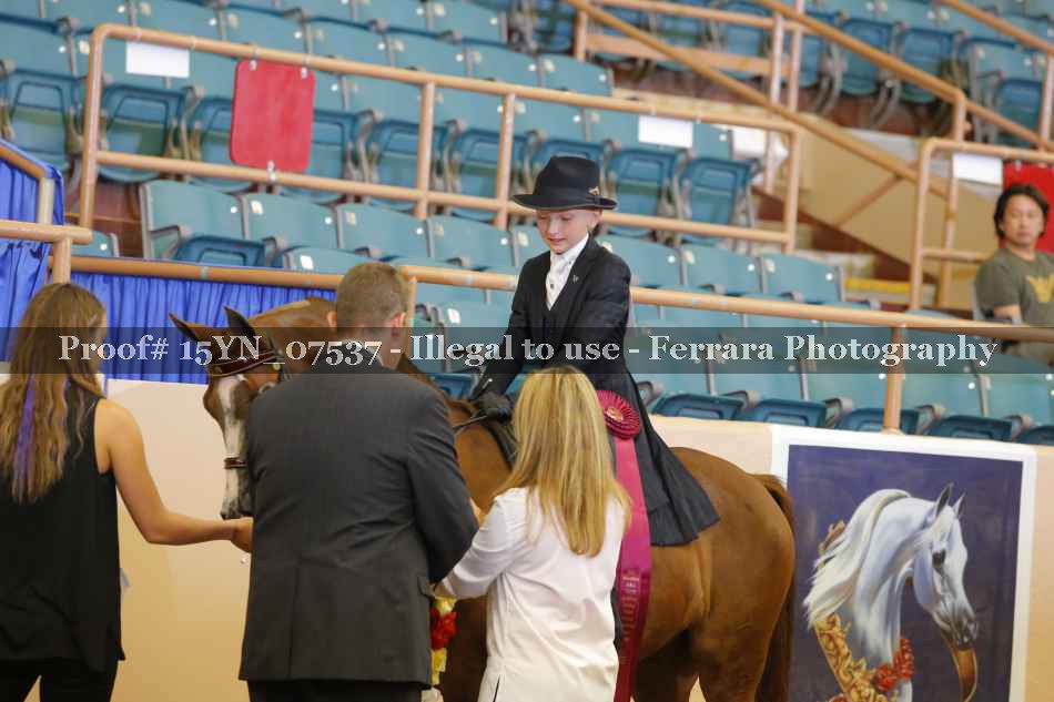 Proof 15YN_07537