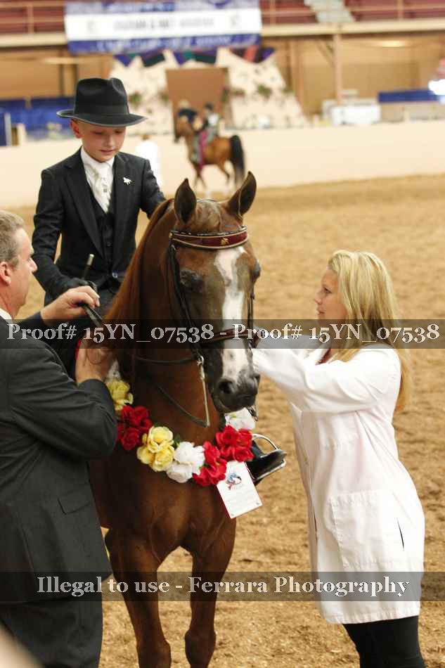 Proof 15YN_07538