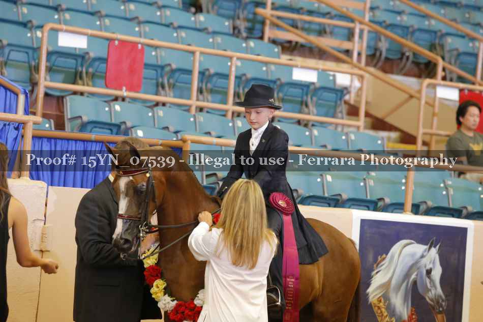 Proof 15YN_07539