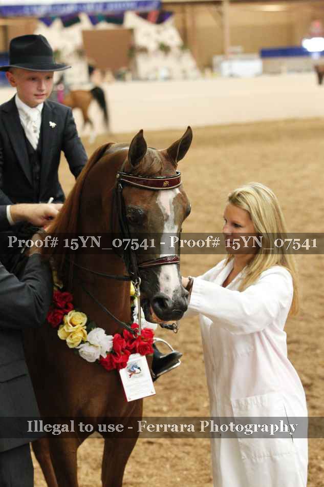 Proof 15YN_07541
