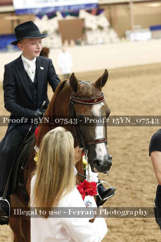 Proof 15YN_07543