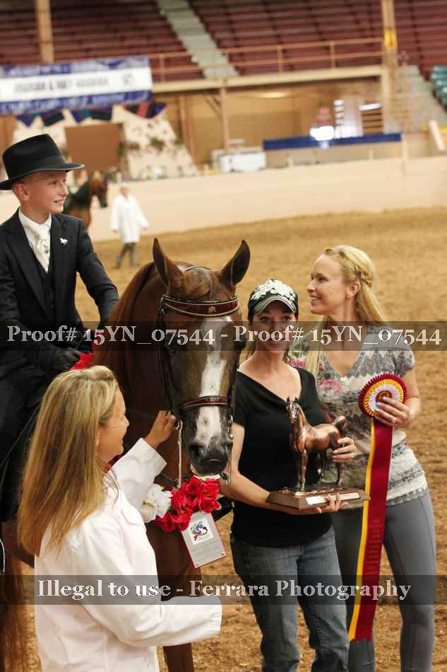 Proof 15YN_07544