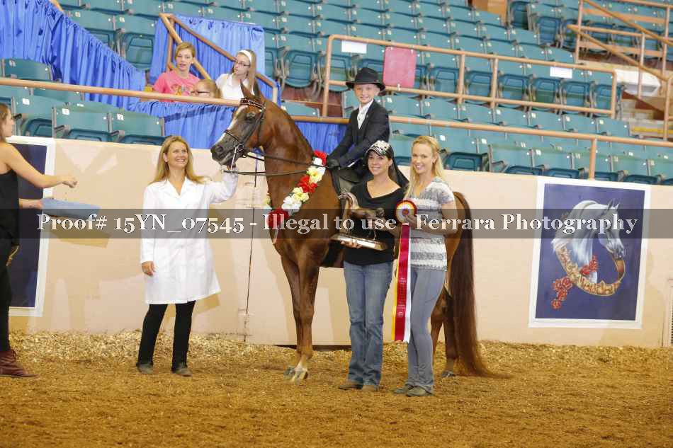 Proof 15YN_07545