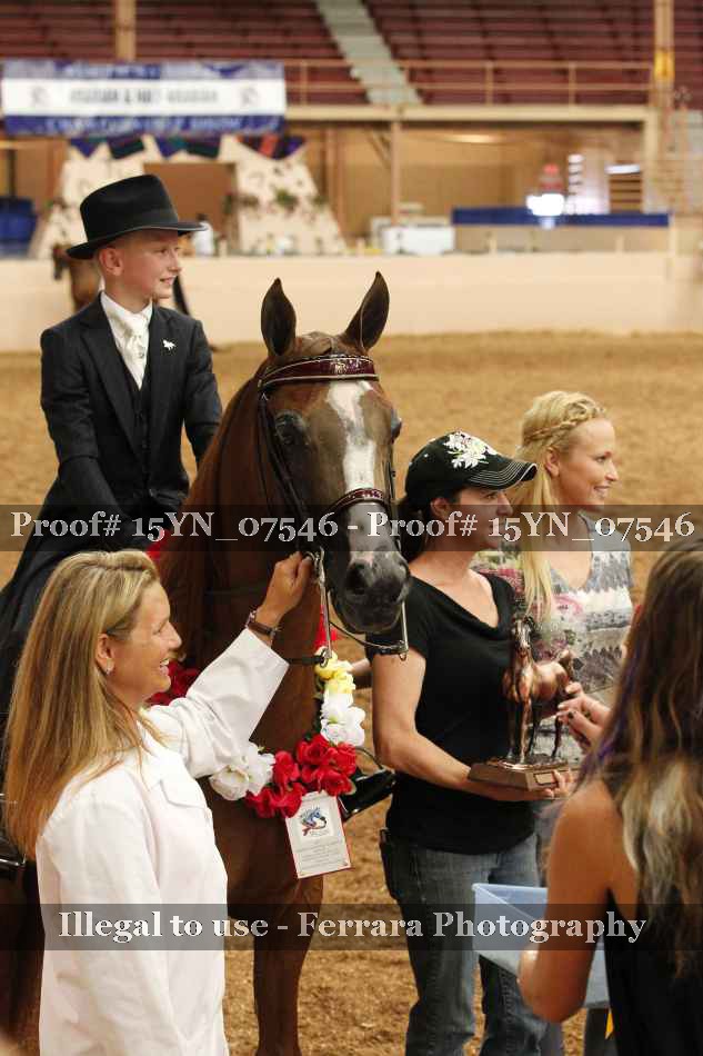 Proof 15YN_07546