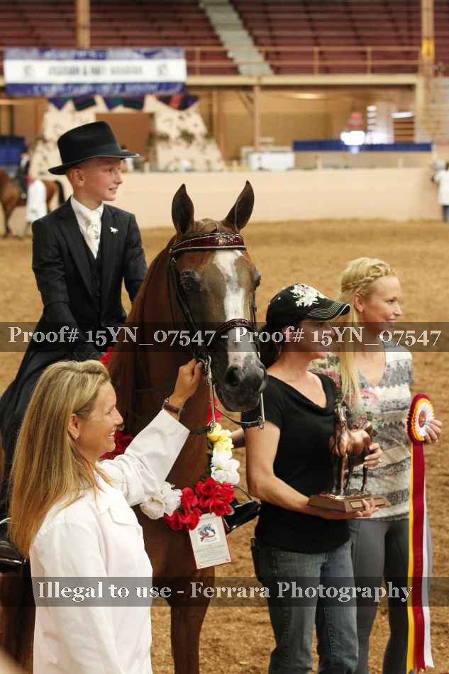 Proof 15YN_07547