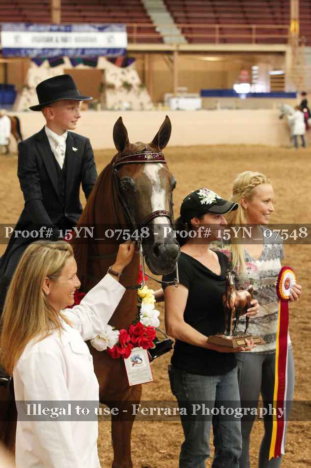 Proof 15YN_07548