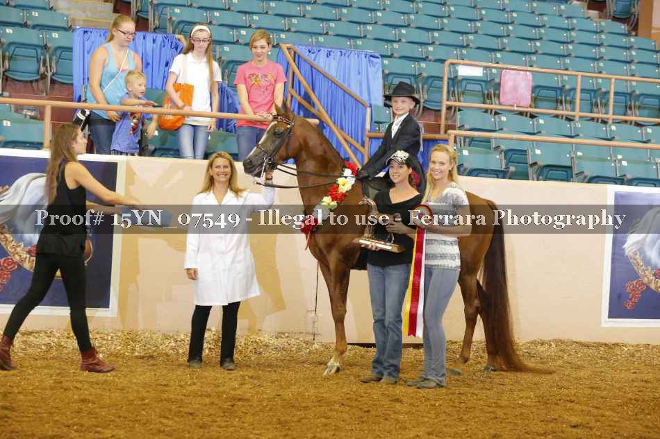 Proof 15YN_07549