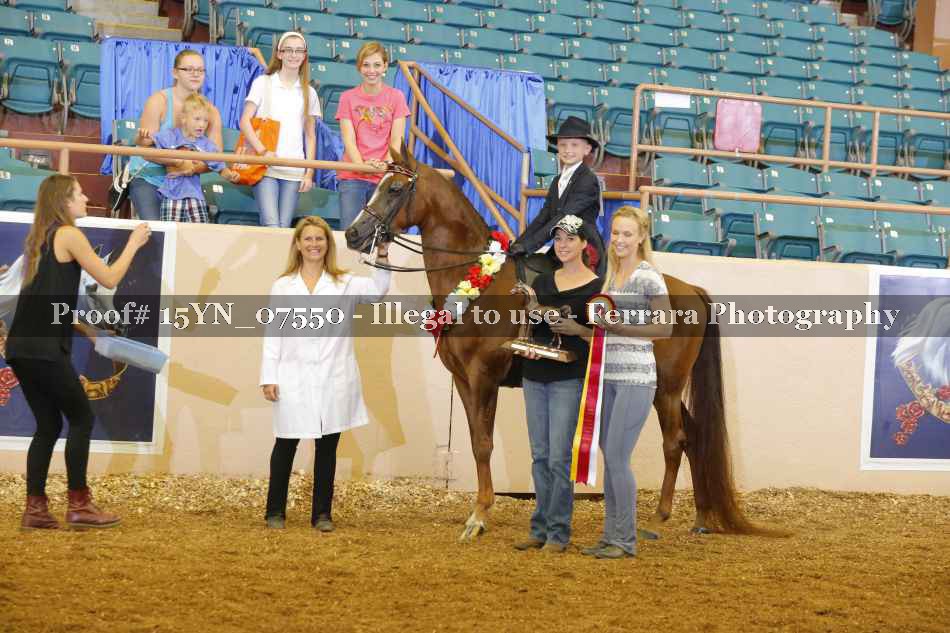 Proof 15YN_07550