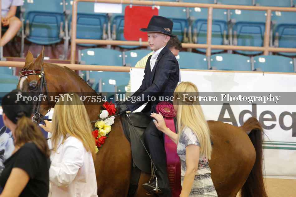 Proof 15YN_07554