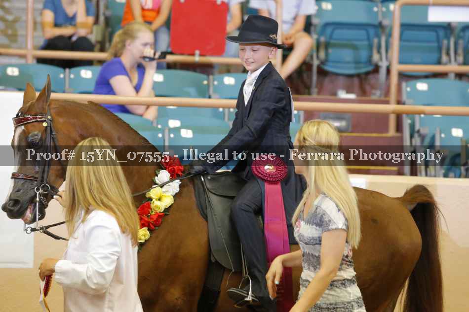 Proof 15YN_07555