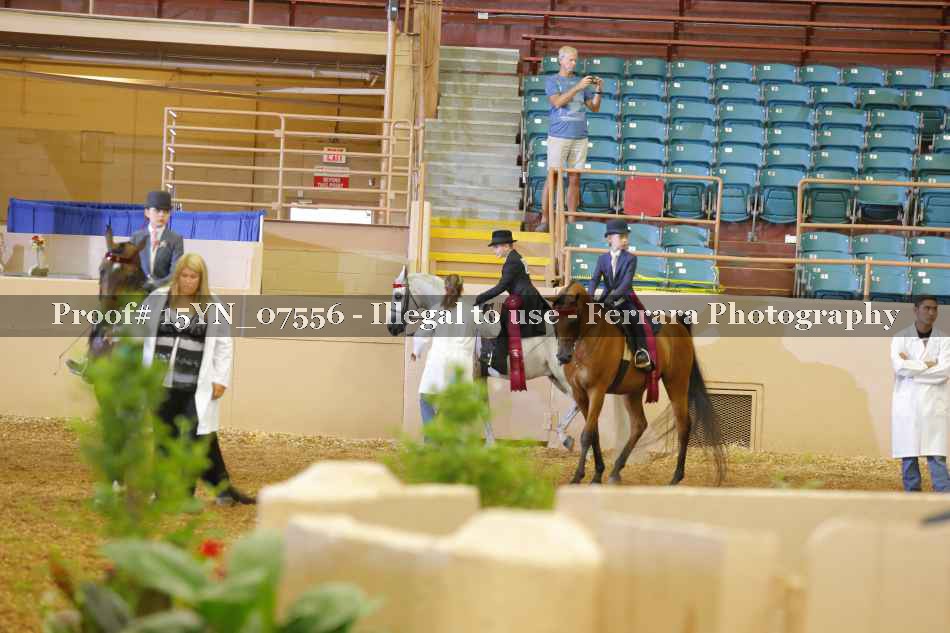 Proof 15YN_07556