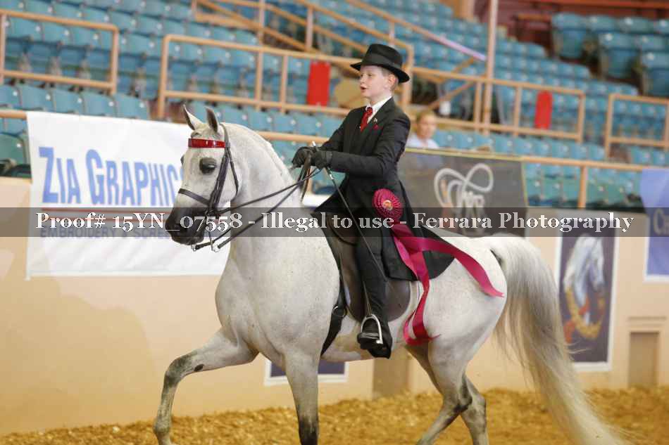 Proof 15YN_07558
