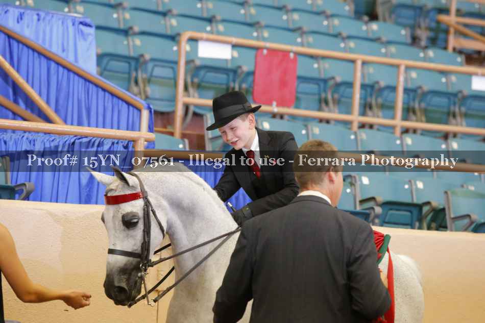 Proof 15YN_07561