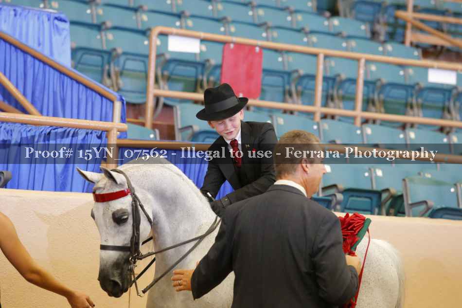 Proof 15YN_07562