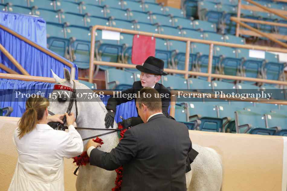 Proof 15YN_07568