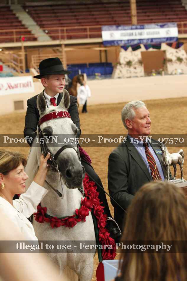 Proof 15YN_07570