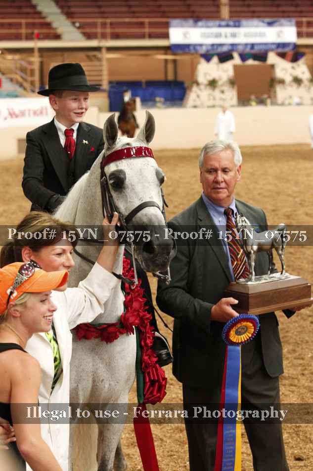 Proof 15YN_07575
