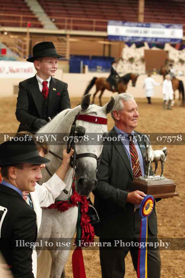 Proof 15YN_07578