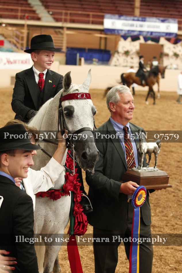 Proof 15YN_07579