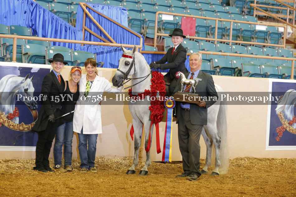 Proof 15YN_07581