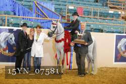 15YN_07581 proof