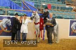 15YN_07583 proof