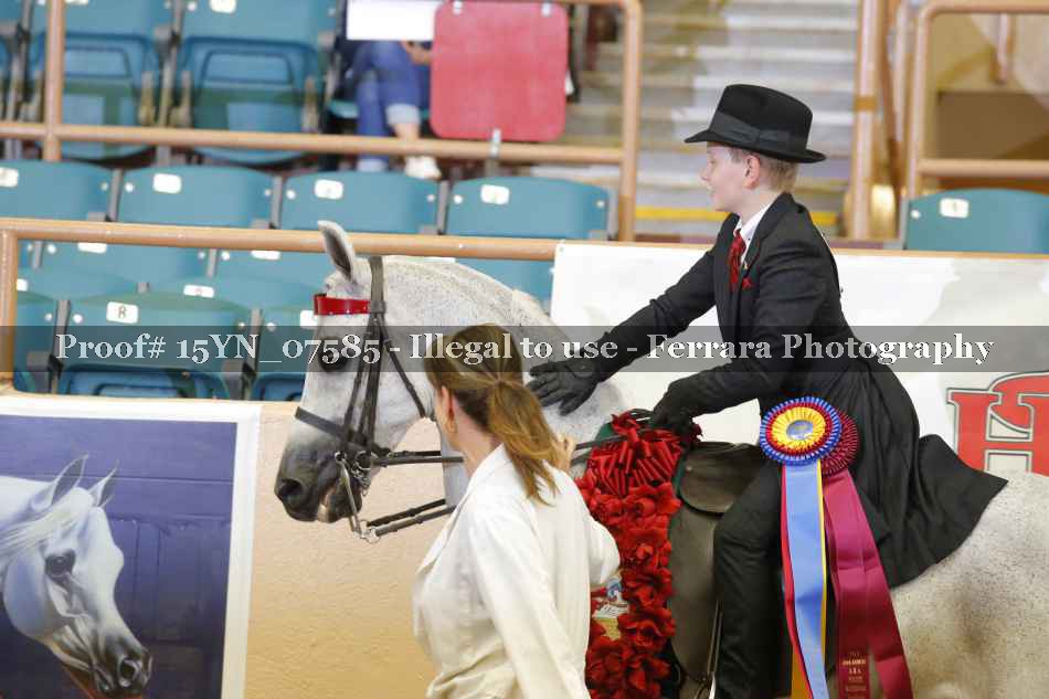 Proof 15YN_07585
