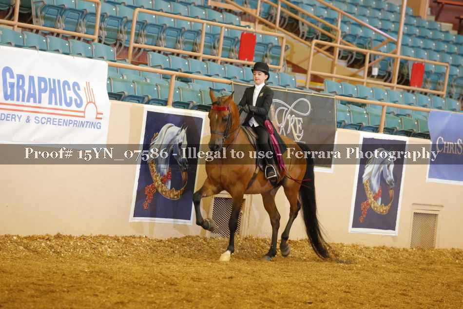 Proof 15YN_07586