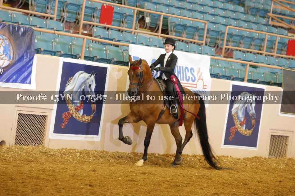 Proof 15YN_07587