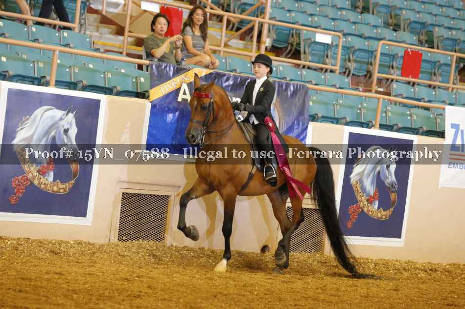 Proof 15YN_07588