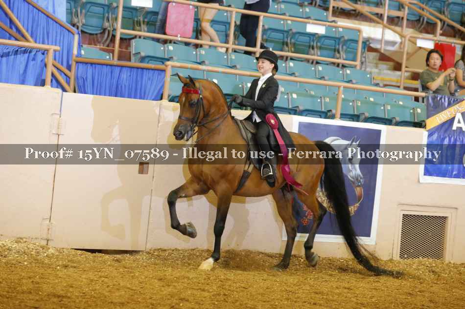 Proof 15YN_07589