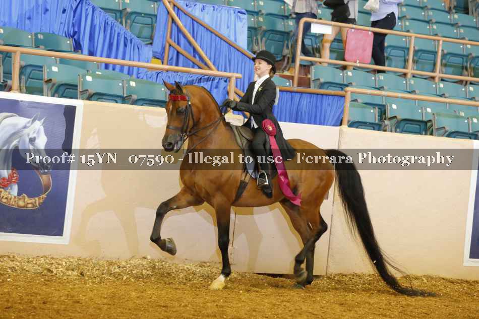 Proof 15YN_07590