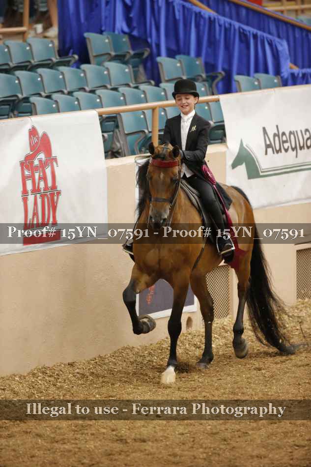 Proof 15YN_07591