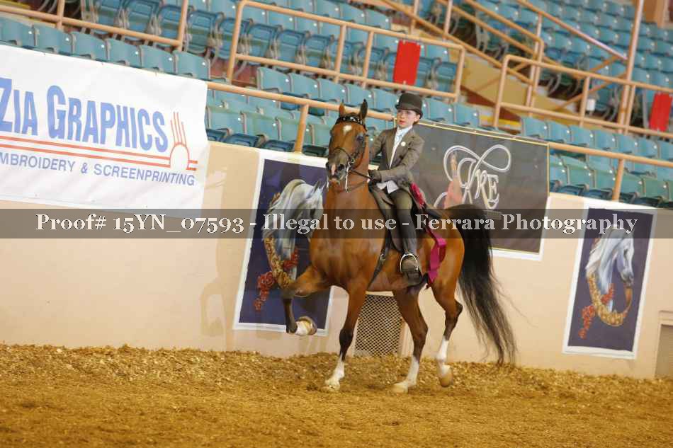 Proof 15YN_07593