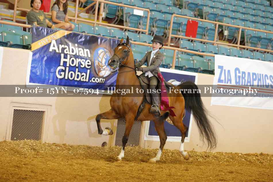 Proof 15YN_07594