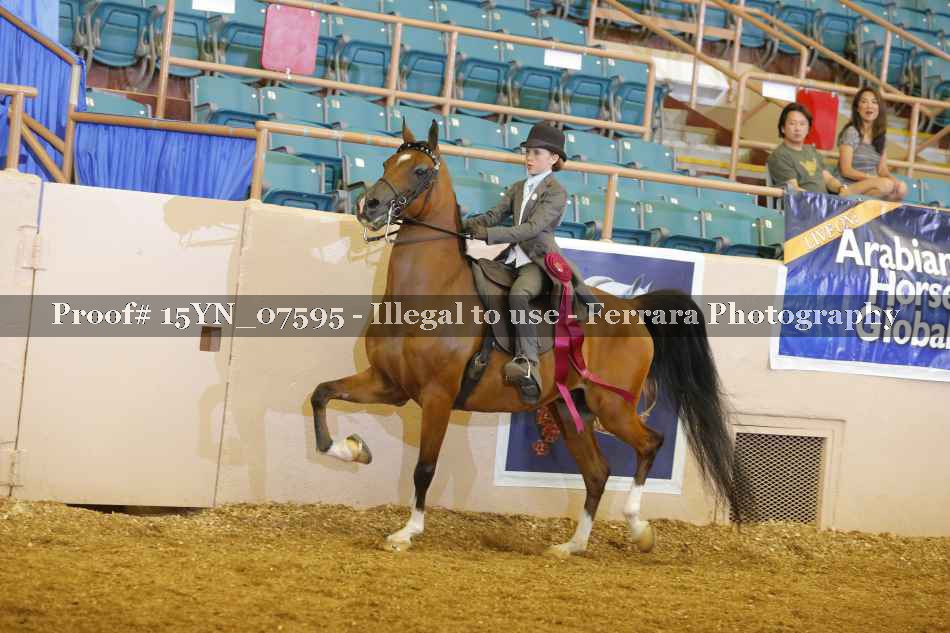 Proof 15YN_07595