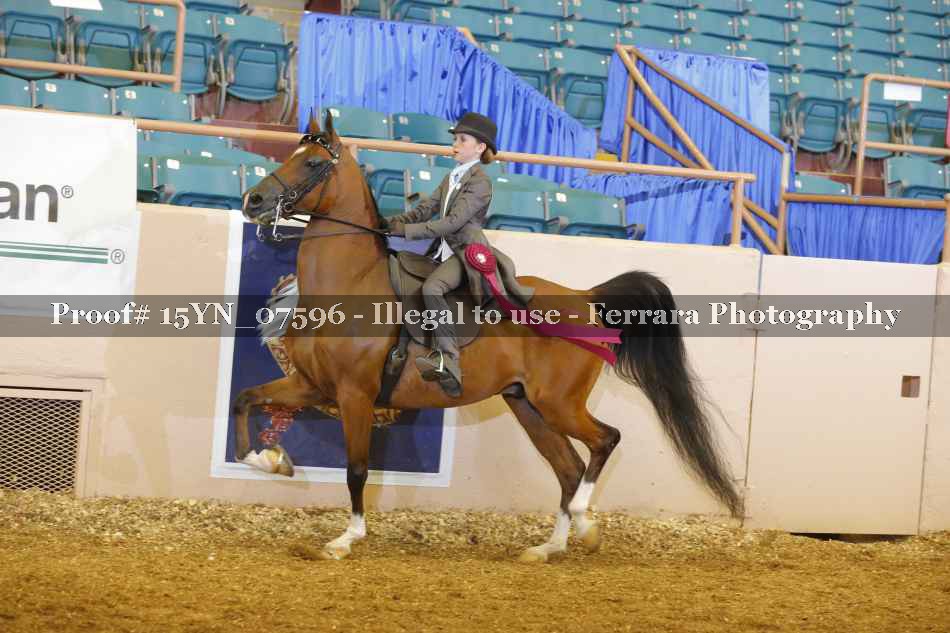 Proof 15YN_07596