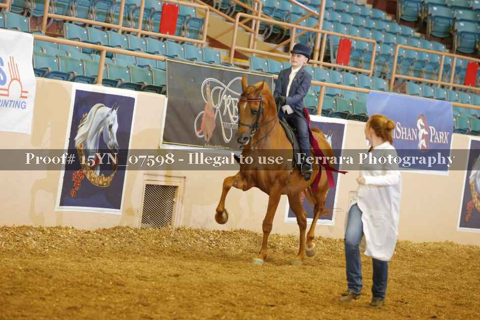 Proof 15YN_07598