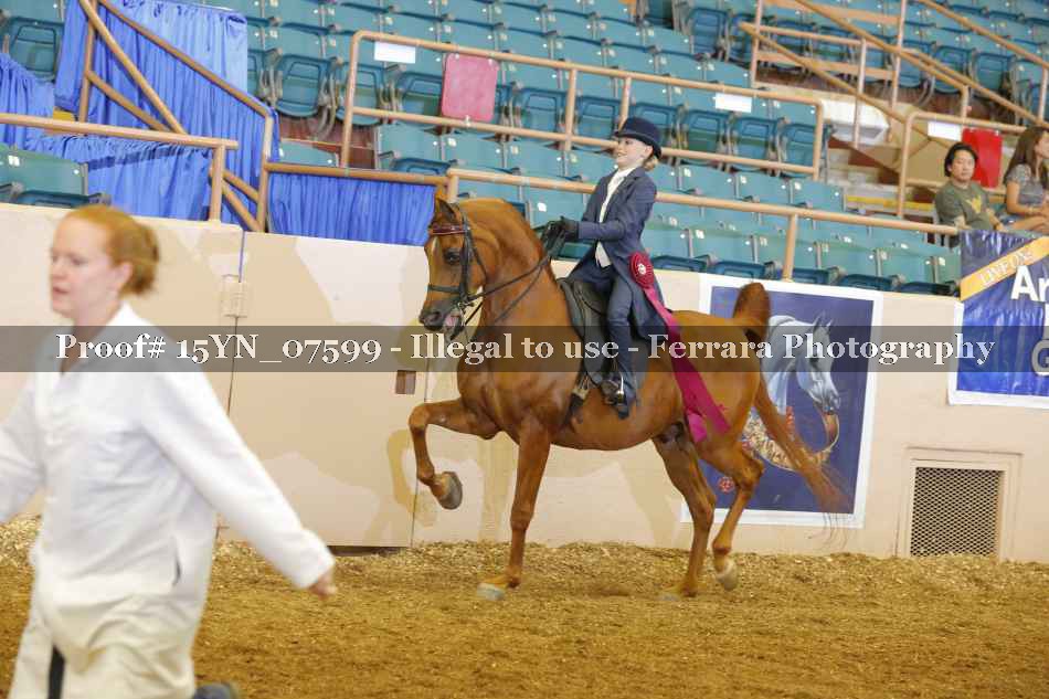 Proof 15YN_07599