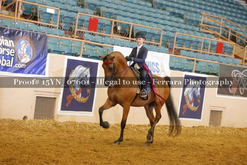 Proof 15YN_07601