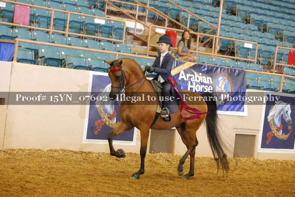 Proof 15YN_07602